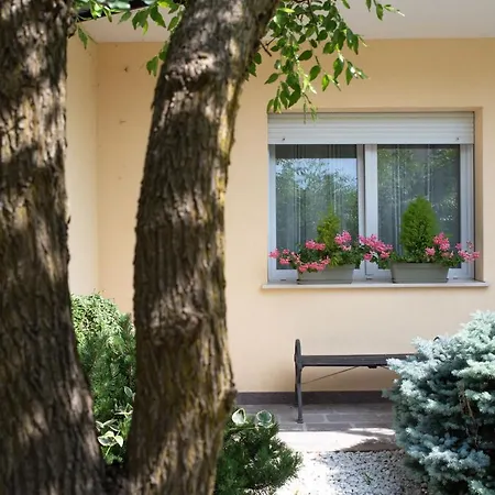 Brentagiardino Noventa Padovana